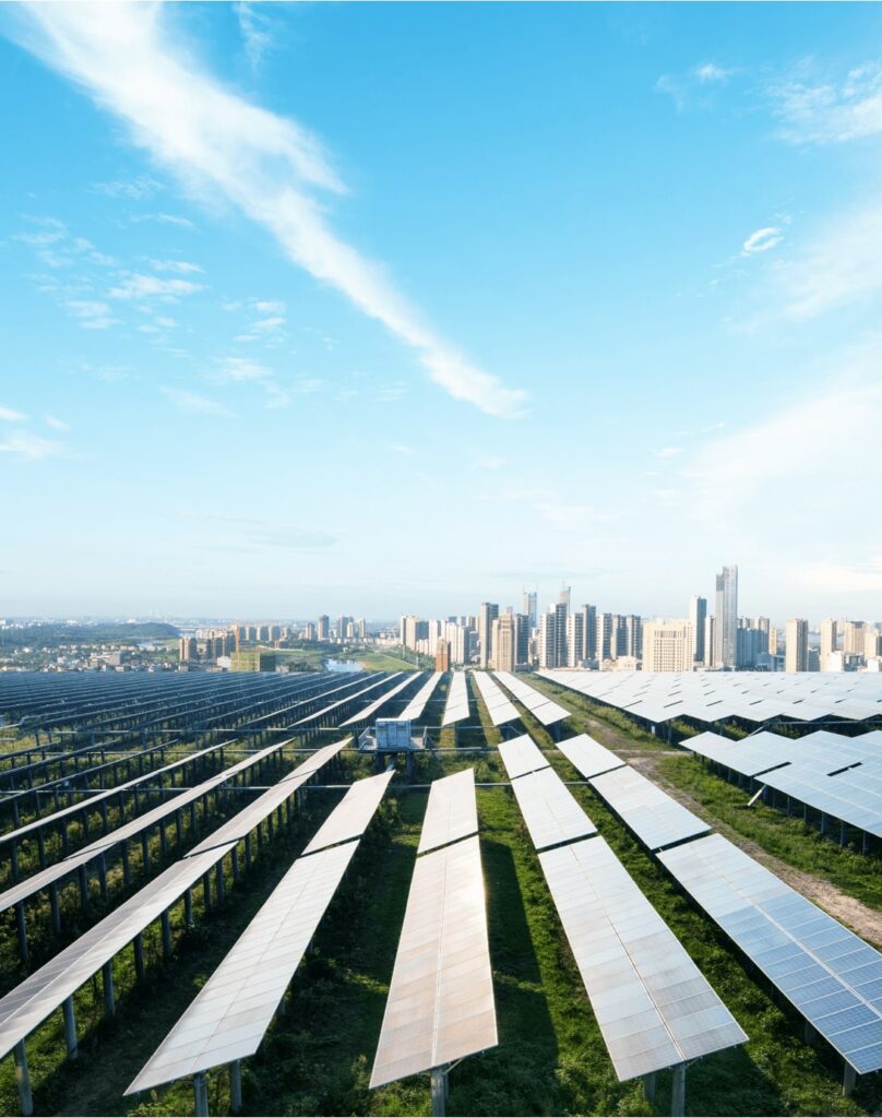 Bitmap-image-808x1024